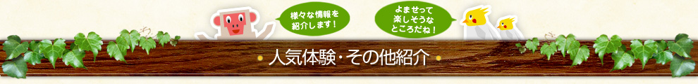 人気体験・その他紹介