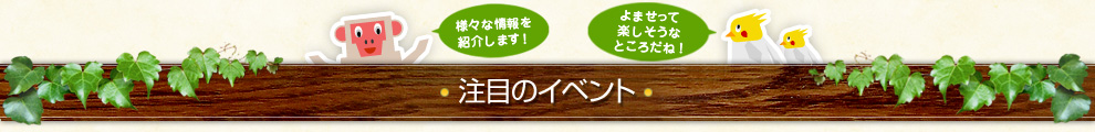 注目のイベント