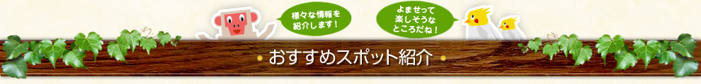 おすすめスポット紹介